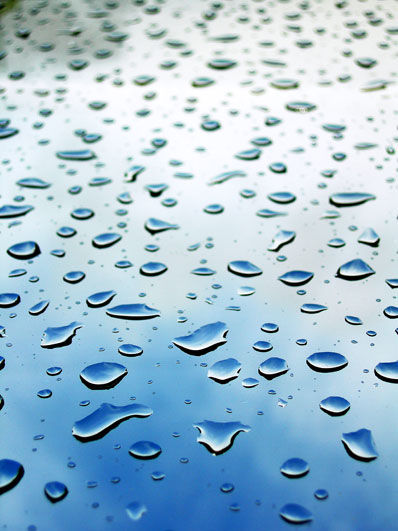 Rain droplets