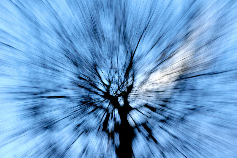 Blurred trees