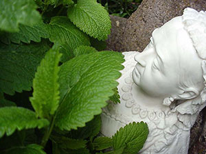 photo of queen victoria statue