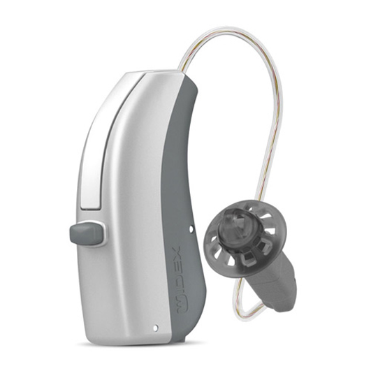 hearing aid
